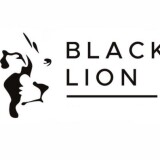 Black Lion Wealth Management