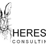 Heresy Consulting Ltd