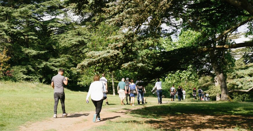 Netwalking: We're going on a bluebell hunt